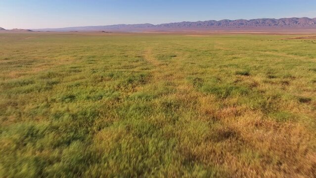 California Grassland Landscape Aerial Drone Carrizo Plain 