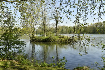 L'une des mini-iles dans le lac principal au domaine provincial de Kessel-Lo à Louvain 