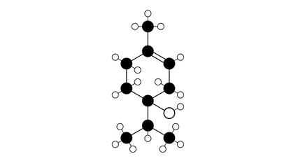 terpinen-4-ol molecule, structural chemical formula, ball-and-stick model, isolated image isomer of terpineol