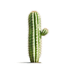 Naklejka premium Saguaro Cactus on a transparent background