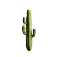 Saguaro Cactus on a transparent background
