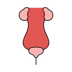 Urinary, human body parts, human organ Urinary icon