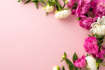 Tender peonies concept. High angle view photo of empty space with bright pink and white peony flowers and buds on isolated pastel pink background with copy-space