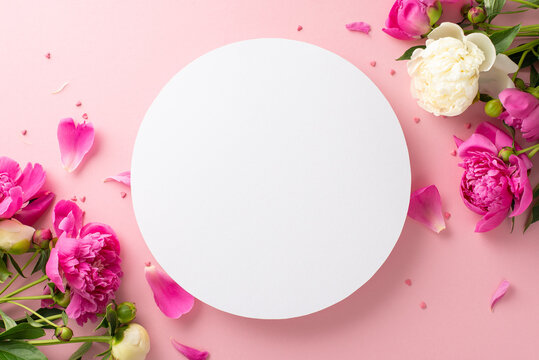 Spring flowers concept. Top view photo of empty circle surrounded by bright pink and white peony flowers,petals and buds with small confetti hearts on isolated pastel pink background with copy-space