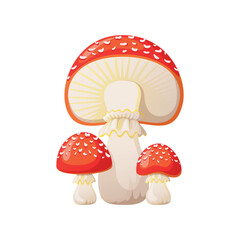 Group of poisonous fly agaric vector illustration in cartoon style
