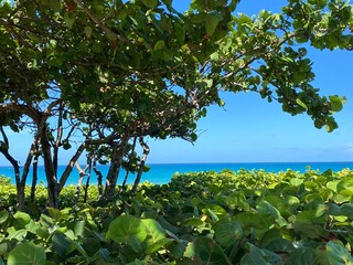 Beach at Jupiter © Mariela