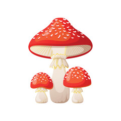 Group of three poisonous fly agaric vector illustration in cartoon style
