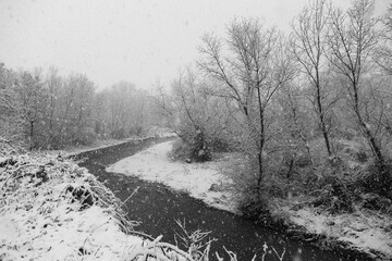 Winter landscape with snow coming down and a river in the middle of trees covered by snow