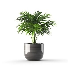 Fototapeta na wymiar Home plant in flower pot isolated. Illustration AI Generative.