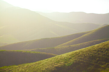 Fototapeta na wymiar Rolling green hills, Lompoc, California USA