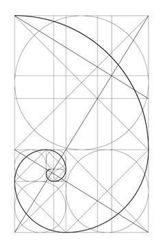 Vector golden relationship template. Golden spiral, golden ratio, Fibonacci array, Fibonacci number. Divine proportions.