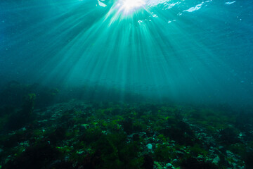 Fototapeta na wymiar Sunlit underwater seascape