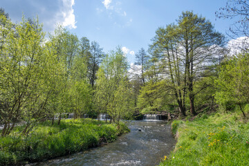 Spring Landscape of Pancharevo lake, Bulgaria