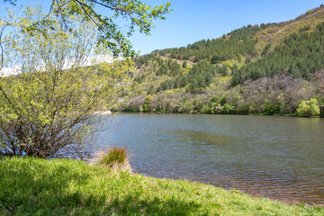Spring Landscape of Pancharevo lake, Bulgaria