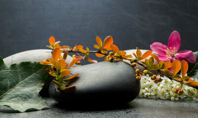 stones and plants for product presentation background