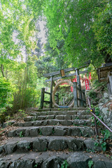 竹寺の茅の輪