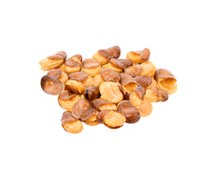 dried broad bean  isolated on  transparent png