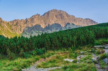 Fototapeta na wymiar Summer mountain landscape. Mountain peak in High Tatra, Slovakia.