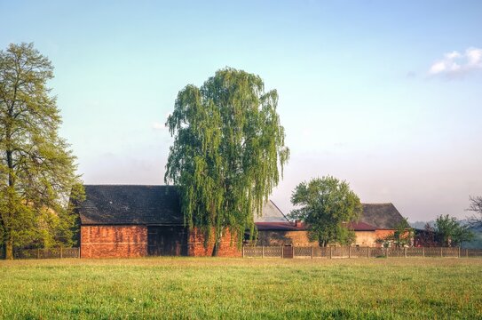 Spring rural landscape. The old barn in the countryside in the morning.