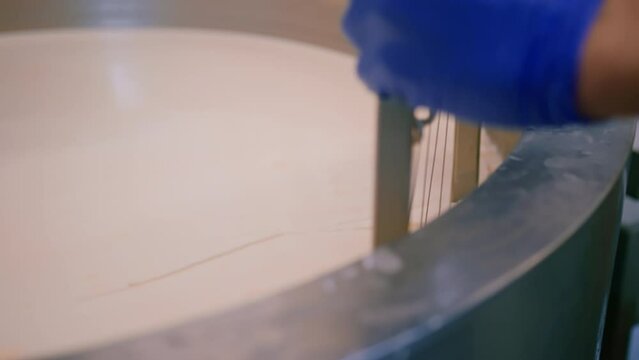 A worker mixing small pieces of a soft cheese in the vat with a big iron plate at the production in a cheese dairy