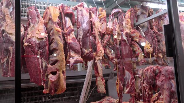 Lamb carcasses hung on hooks in slaughterhouse in market or in cold room or by cutting. Refrigerated warehouse, hanging hooks of frozen lamb carcasses. Halal cut. Batumi market in Georgia.