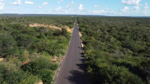 Charming newly paved road in the savannah of northeastern Brazil, the sertão