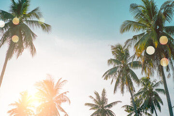 Fototapeta na wymiar Tropical palm coconut trees on sunset sky flare and bokeh nature background.