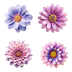 Fototapeta premium Selection of Various Flowers Isolated on Transparent Background. Created with Generative AI Technology
