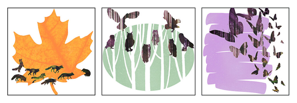 Illustration composed of an orange leaf and silhouette of running foxes, silhouette of white trees and a green background with owls perched on top and a purple paint stroke from which butterflies fly.