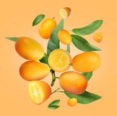 Delicious fresh kumquats and green leaves falling on orange background