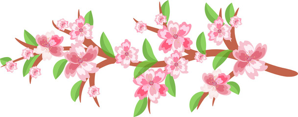 Cherry blossom branches. Japanese blooming trees, sakura flowers spring decor. On transparent, png.  spring bunch border, greeting holiday ,season ,voucher, template, brochure, pink, fashion ,card