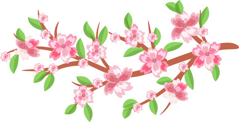 Cherry blossom branches. Japanese blooming trees, sakura flowers spring decor. On transparent, png.  spring bunch border, greeting holiday ,season ,voucher, template, brochure, pink, fashion ,card