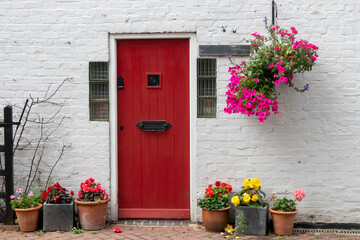 Fototapeta na wymiar Begonia and petunia flowers outside an English country cottage with a red door