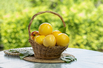 Shiny Yellow Peach fruit in wooden basket over blur greenery background, Yellow Nectarine fruit over green natural Blur background.

