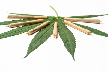 Cannabis leaves and Cannabis Joint roll  on white background, concept  herb green food and drugs