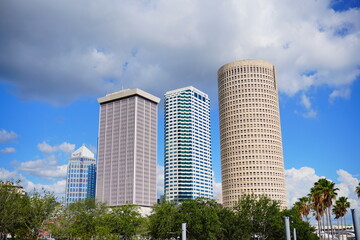 Fototapeta na wymiar Tampa Waterfront park landscape 