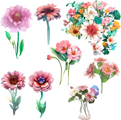 Fototapeta na wymiar watercolor flower arrangement collection vintage
