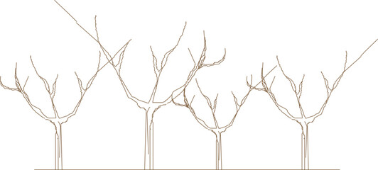 Vector illustration sketch of a forest full of lined trees of various sizes