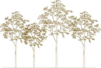 Obraz premium Vector illustration sketch of a forest full of lined trees of various sizes