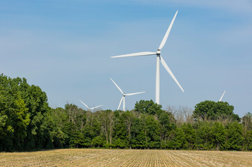 A wind turbine farm with trees and soybeans planted into rye stubble in the summer.
