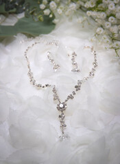 Fototapeta na wymiar wedding jewelry on the veil