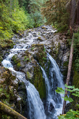 waterfall in the forest