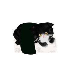 Cat Sushi 04