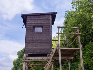 hunting shelter in the forest between green trees in summer.