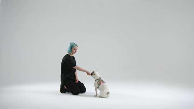 Young female master teaches French bulldog to respond to its name. The woman holds food near chin to make the dog look into her eyes. Food as reward. High quality 4k footage