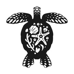 Black sea turtle drawings, starfish and shells on a tortoise shell.