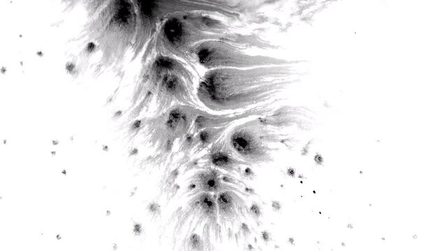 	
Ink drops rorschach fluid splash splatter spread texture creative abstract background mirror effect	
