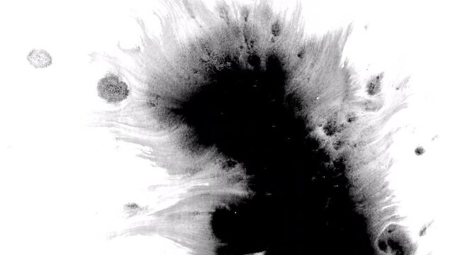Black ink artistic flow splatter spots spills white paper beautiful reveal dripping streaks spread fluid ink alpha matte isolated watercolor ink drops transition	
