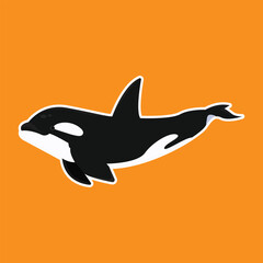 Orca whale ocean sea animal vector illustration