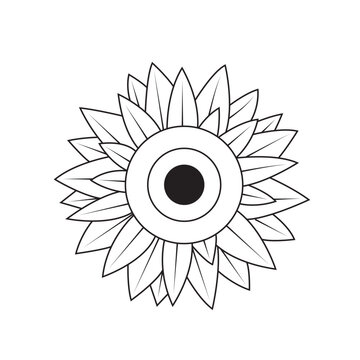 sunflower flower floral line drawing vector template